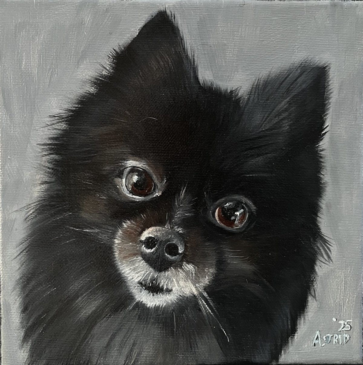 Portret van de hond