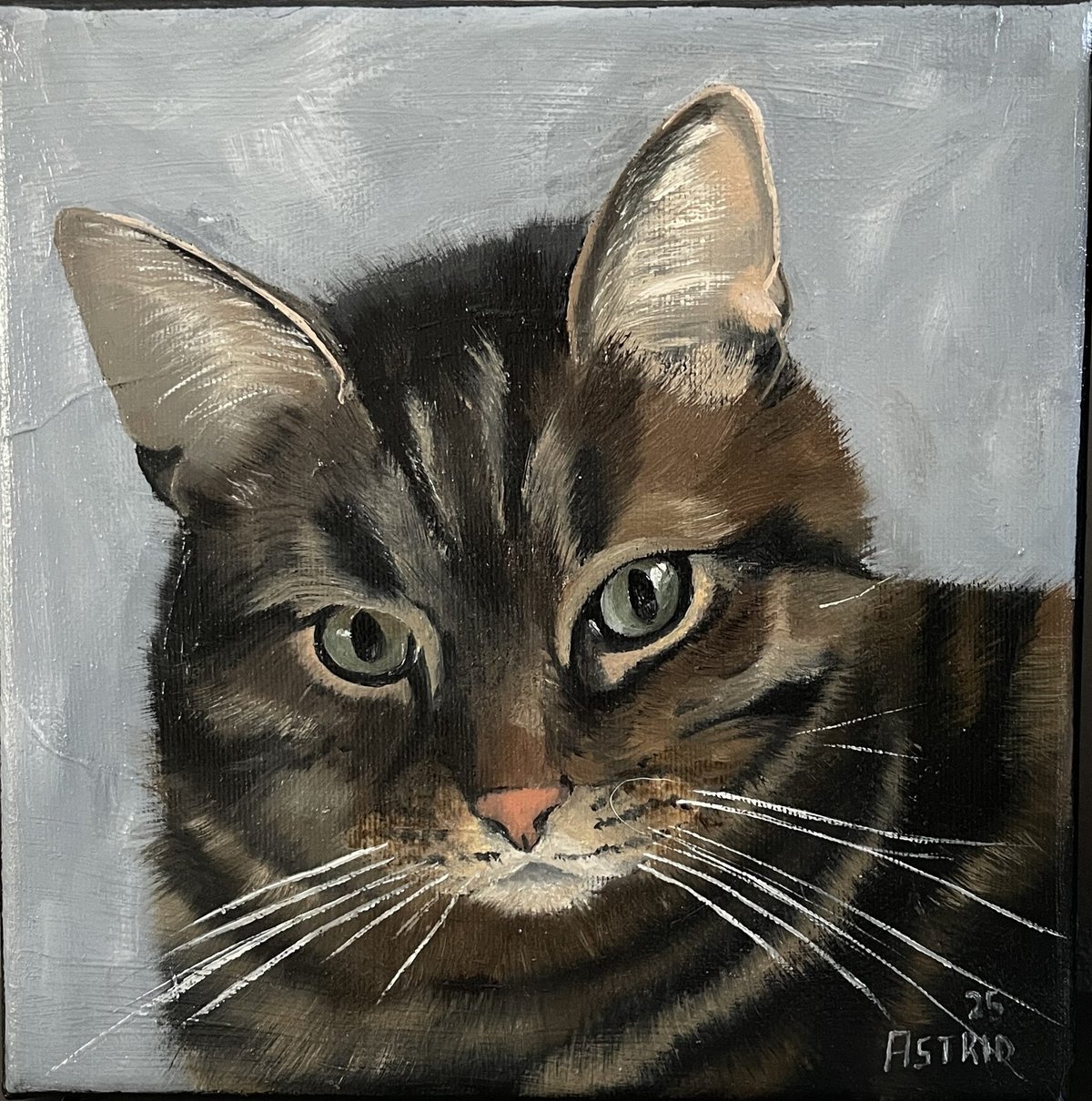 Portret van de kat